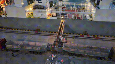 活禽海运-活？？？？梢匀肟诼