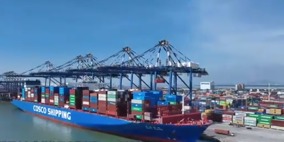 2024年多个口岸集团实现货物吞吐量和集装箱量双增添