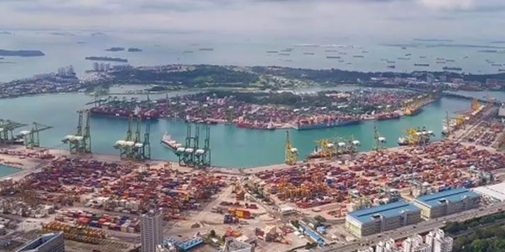 尊时凯龙·Z6(中国区)人生就是拼搏!