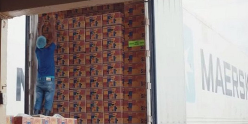 尊时凯龙·Z6(中国区)人生就是拼搏!