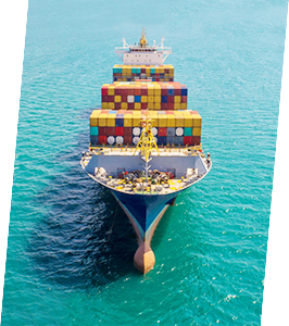 尊时凯龙·Z6(中国区)人生就是拼搏!