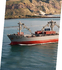 尊时凯龙·Z6(中国区)人生就是拼搏!